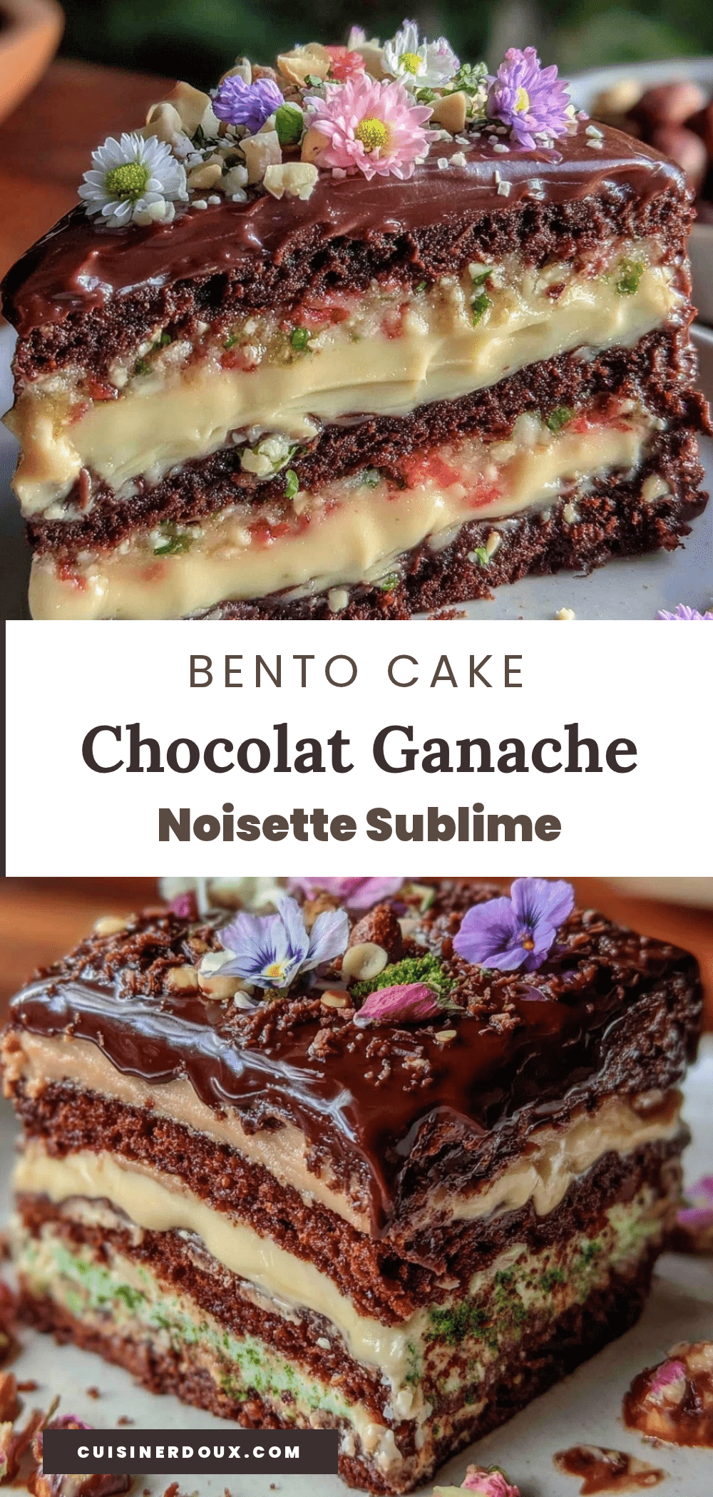 bento cake chocolat ganache noisette recipe