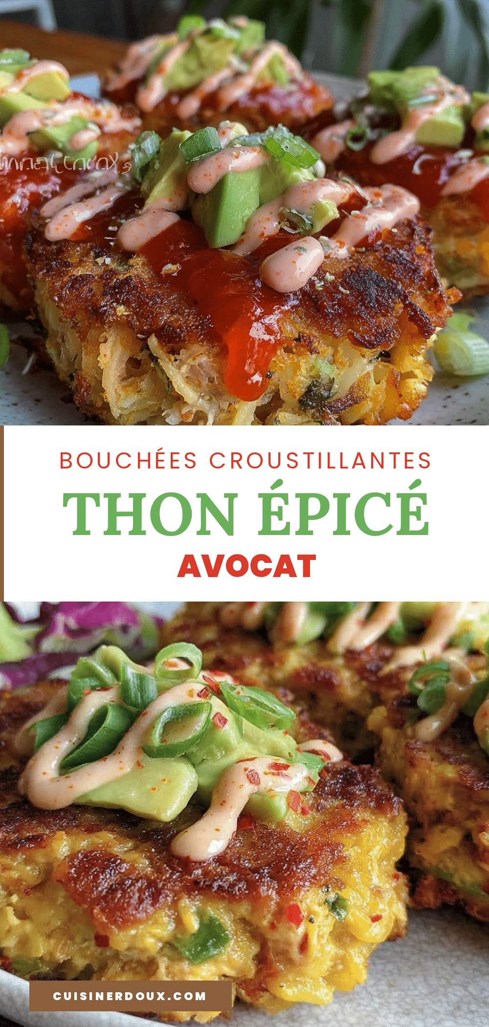 bouchées thon épicé avocat recipe
