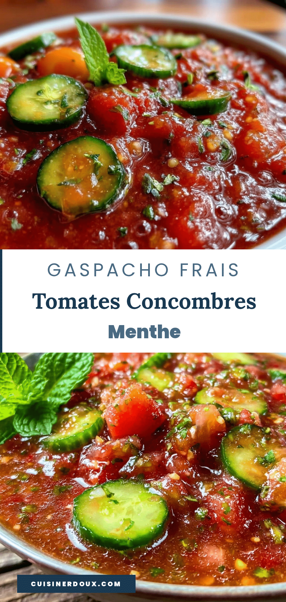 gaspacho tomates concombres menthe recipe