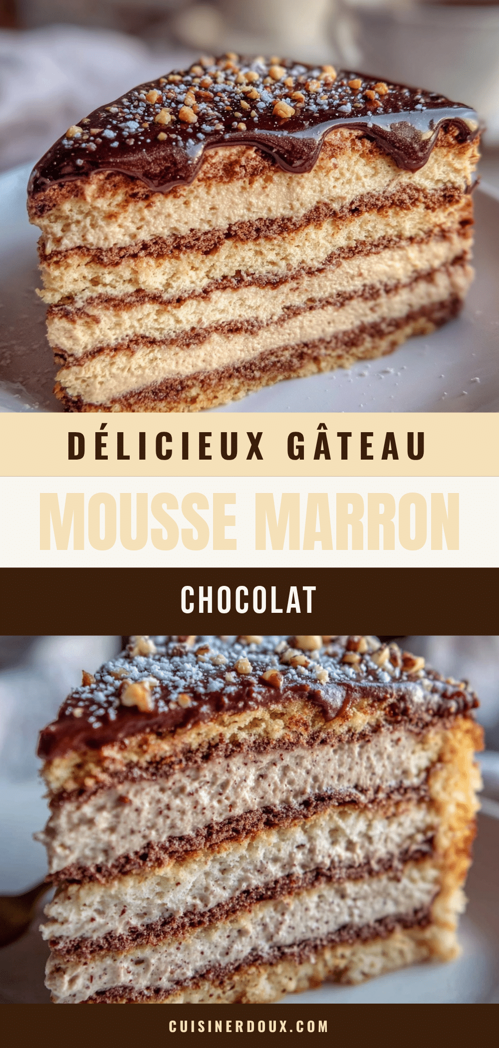 gâteau mousse marron chocolat recipe
