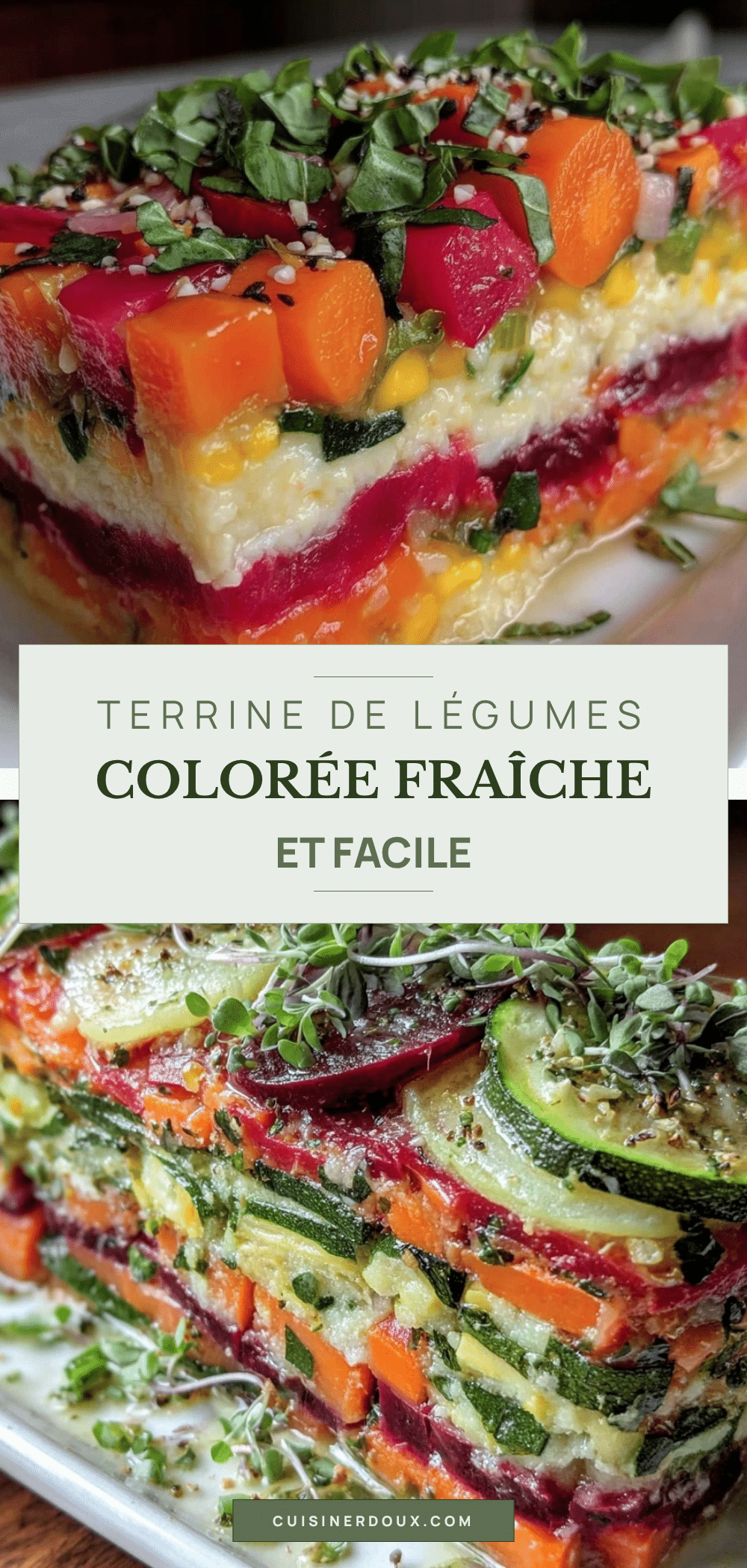 terrine de légumes sans cuisson recipe