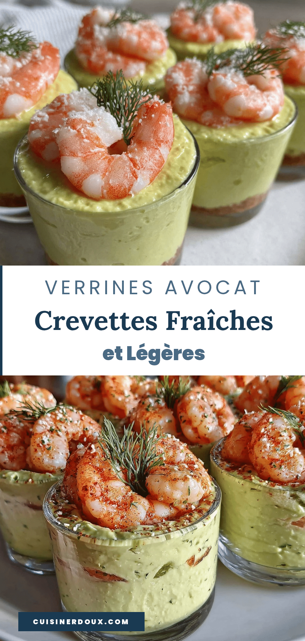 verrines avocat crevettes aneth recipe