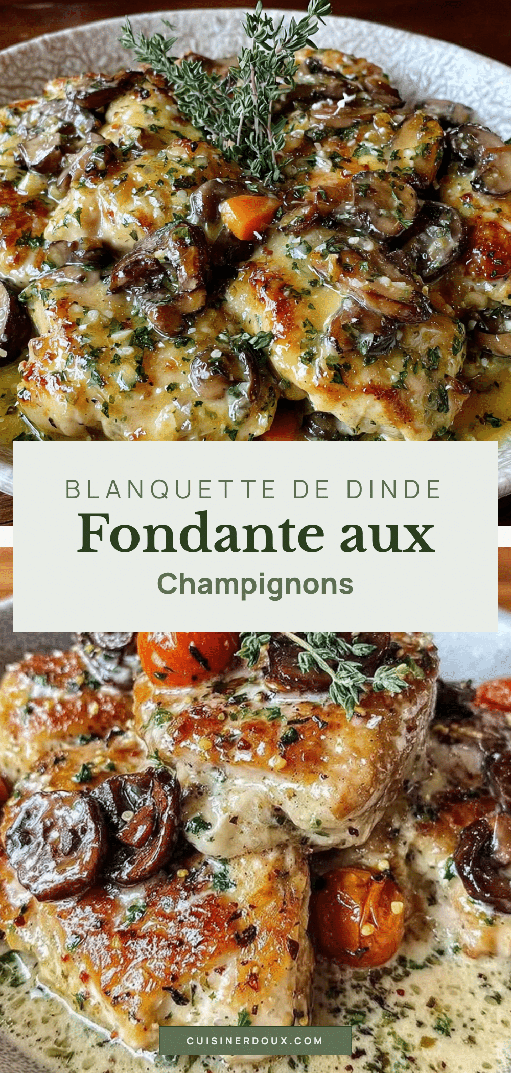 blanquette de dinde fondante aux champignons sauvages recipe