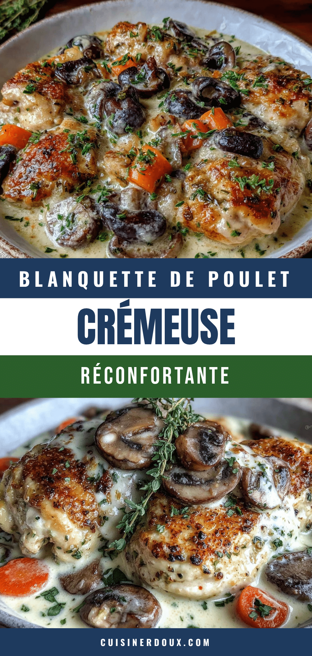 blanquette de poulet crémeuse et réconfortante recipe