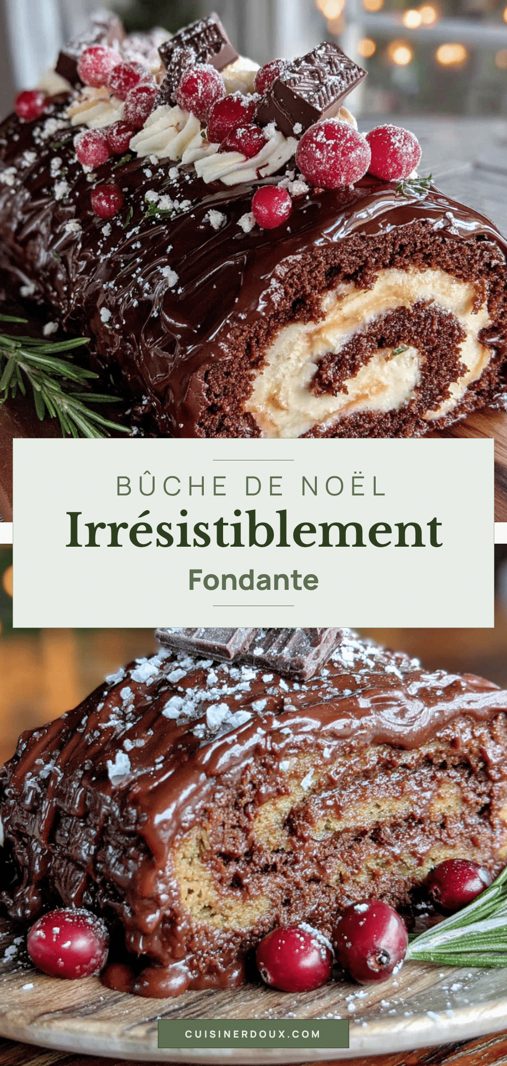 bûche de Noël au chocolat et châtaigne recipe