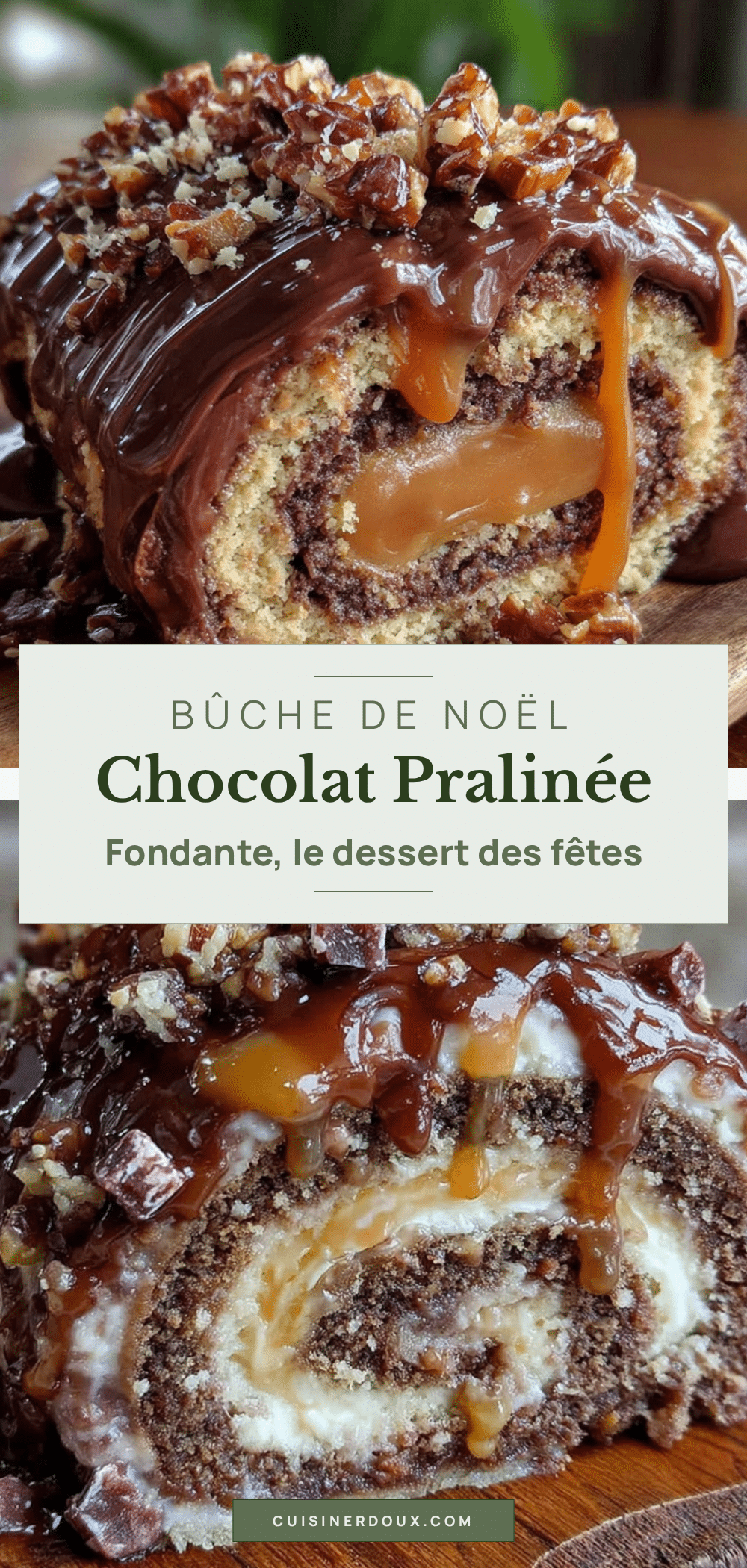 bûche de Noël chocolat pralinée recipe