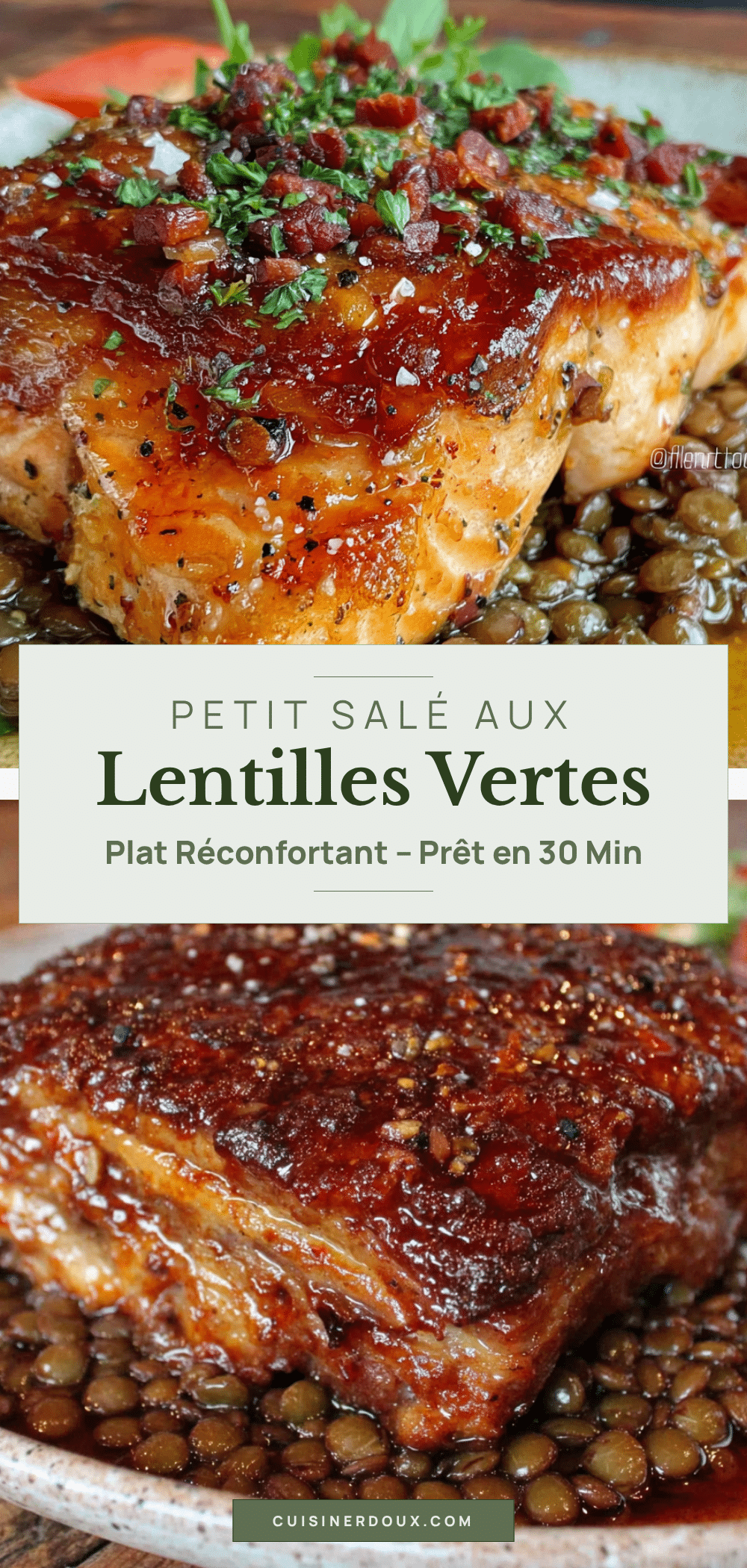 petit salé aux lentilles vertes du puy recipe