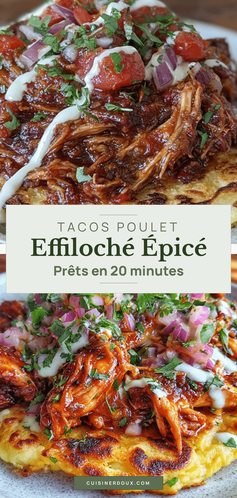 tacos au poulet effiloché épicé recipe