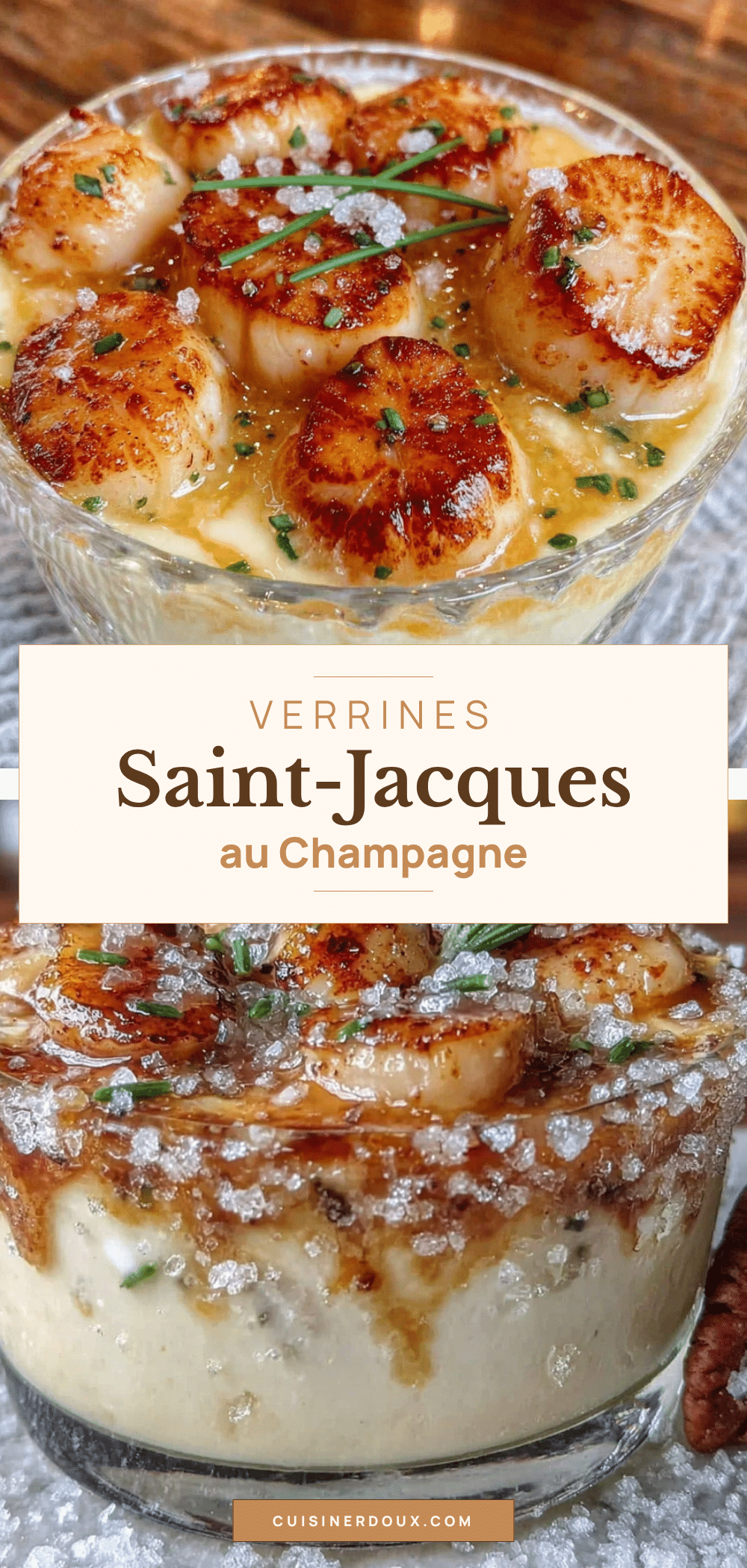 verrines saint-jacques au champagne recipe